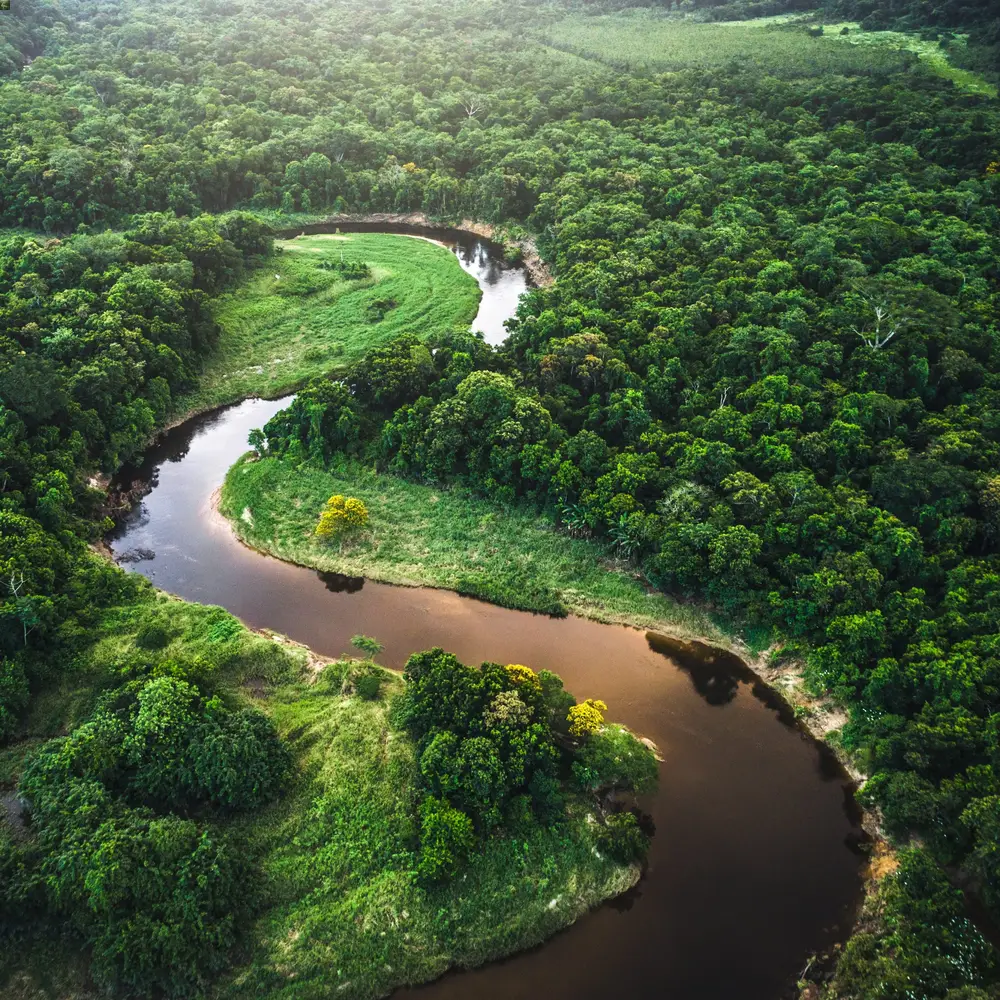 1. Visit the Black River Gorges National Park