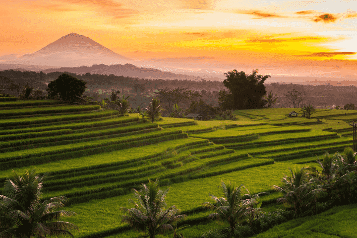 JATILIWIH RICE TERRACES